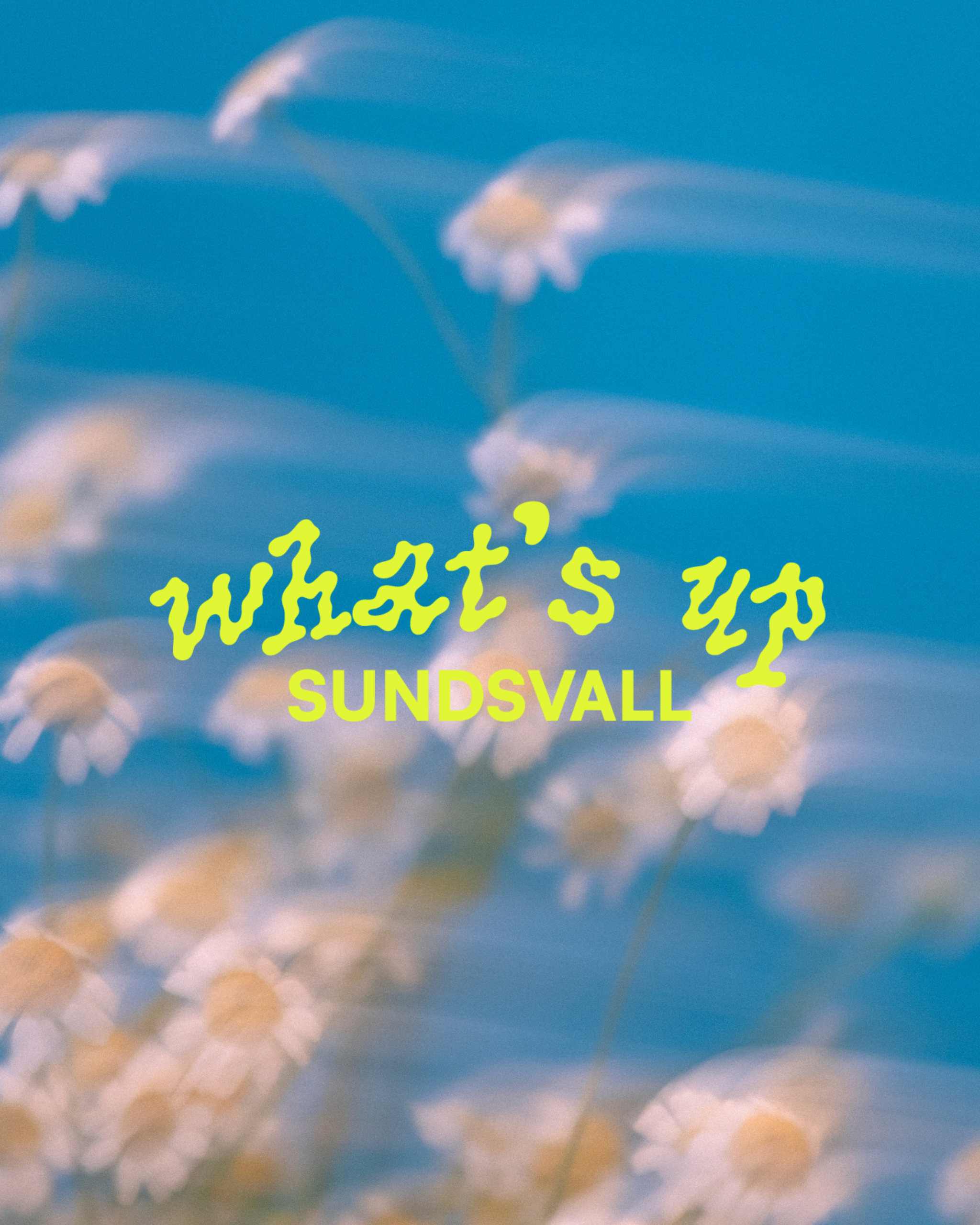 What’s Up Sundsvall